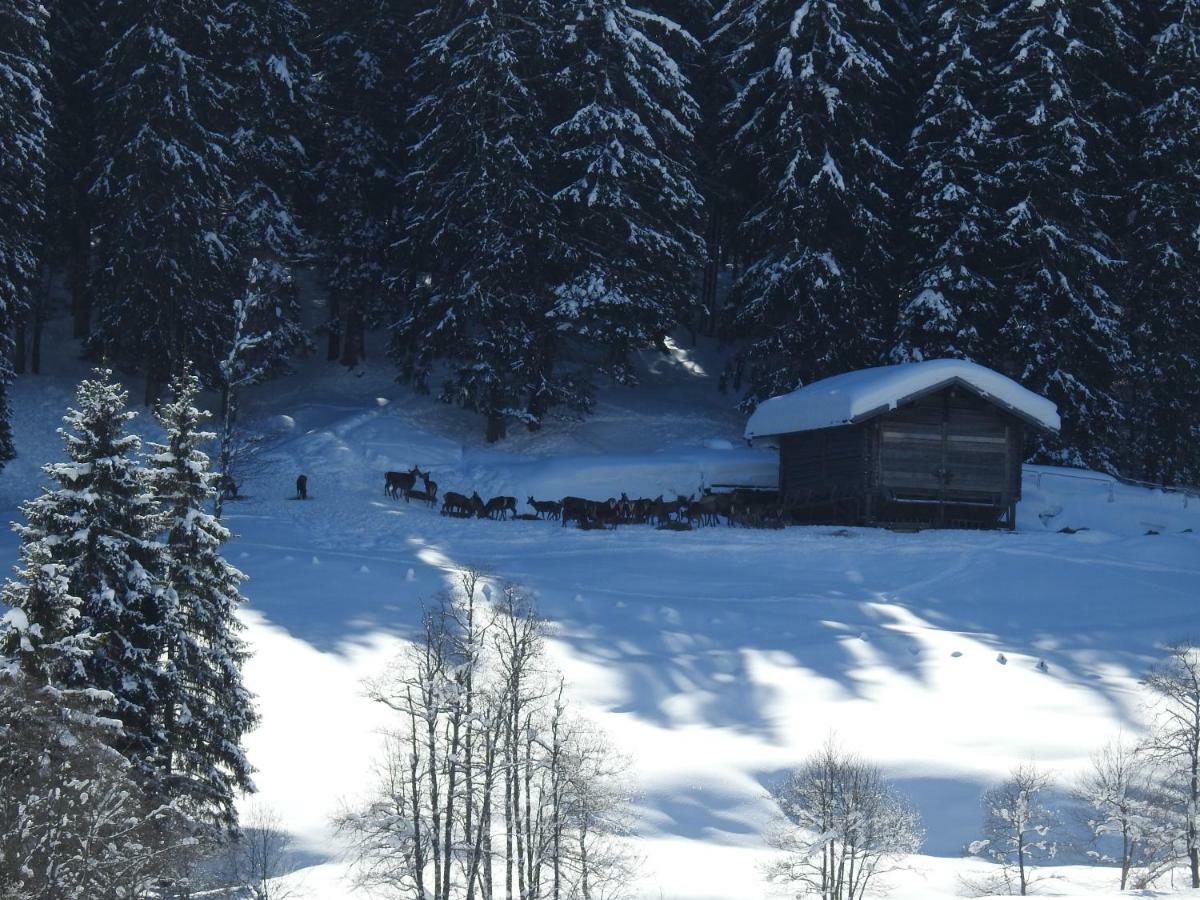 Appartamento Blockhaus Ganschitter Grossarl Esterno foto
